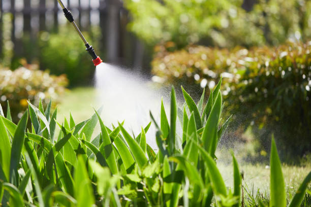 24/7 Emergency Cockroach Control experts in Calverton Park, MO