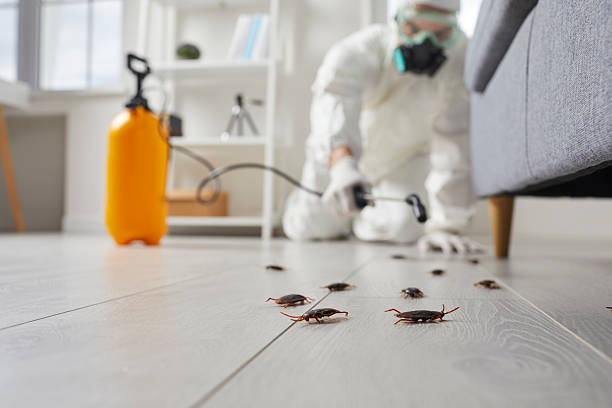 Trusted Cockroach Control service in Calverton Park, MO - Nex Pest Control